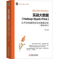 《实战大数据（Hadoop+Spark+Flink）从平台构建到交互式数据分析》
