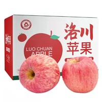 乌岽山 正宗洛川苹果红富士 大果(80-85mm)  5斤