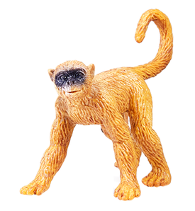 Wenno 仿真动物模型 长尾猴
