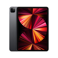 Apple 苹果 2021款 iPad Pro 11英寸平板电脑 256GB WIFI版