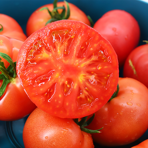 北京奥运会食材供应商，绿行者 普罗旺斯西红柿番茄 5斤