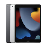 Apple 苹果 iPad 9 2021 10.2英寸平板电脑 256GB WLAN版