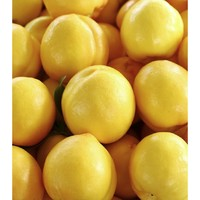 沂蒙黄金油桃 大果3粒（单果100g+）