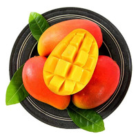 水果蔬菜 广西贵妃芒红金龙  5斤100-150g中果