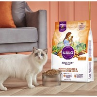 HALO 自然光环 健美体态系列 鸡肉成猫猫粮 4.54kg