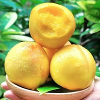 山东蒙阴黄金油桃 1斤（150g+）大果