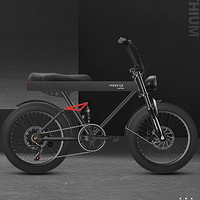 PHOENIX 凤凰 电动自行车 20寸 豪华版 TANK600
