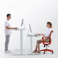 SIHOO 西昊 Xdesk-E200 极简风格电动升降桌 120*60cm