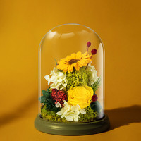 RoseBox 向日葵永生花 玻璃罩礼盒