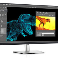 DELL 戴尔 P3221D 31.5英寸IPS显示器（2560×1440、60Hz、99%sRGB、Type-C 65W）