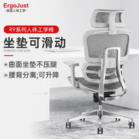 Ergojust 爱高佳 居家办公室电脑椅人体工学椅 R9灰色+挂衣架