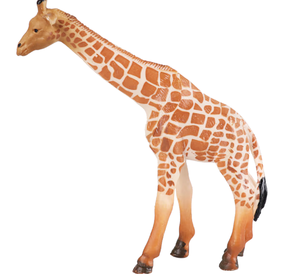 贝可麦拉 仿真动物模型 长颈鹿