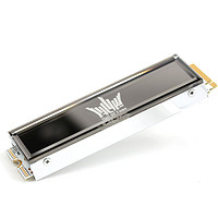 GALAXY 影驰 HOF EXTREME NVMe M.2 固态硬盘 1TB（PCI-E4.0）