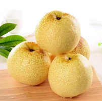 水果蔬菜 安徽砀山梨酥梨  净重4.4-4.5斤单果200g+