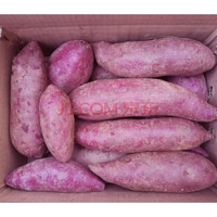 山东农家紫薯番薯紫心蜜薯地瓜 5斤装