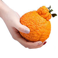 水果蔬菜 丑橘不知火8斤（85mm以上）