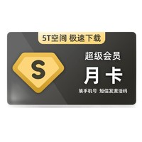 Baidu 百度 网盘 超级VIP会员1个月