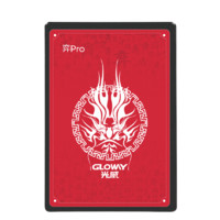 GLOWAY 光威 弈系列 Pro SATA3.0固态硬盘 256GB