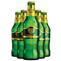 Augerta 奥古特 青岛啤酒 12度 330ml*24瓶