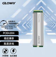 GLOWAY 光威 Ultimate M.2接口 SSD固态硬盘 1TB（PCIe 4.0 x4）