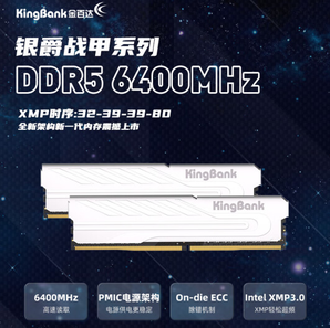20点！KINGBANK 金百达 银爵 DDR5 6400MHz 台式机内存条 32GB（16GBX2）套条