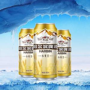 效期至4-6月！Harbin 哈尔滨啤酒 小麦王啤酒450ml*24听