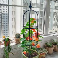 陌町 欧式U型爬藤花架