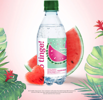 马来西亚国会用水！ SPRITZER 事必胜 so tinge低糖0脂天然气泡水 325ml*6瓶