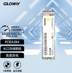 GLOWAY 光威 弈系列 M.2 NVMe 固态硬盘 512GB