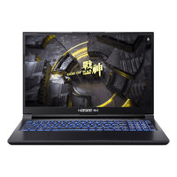 Hasee 神舟 战神 TX8R9 16英寸游戏本（i9-13900HX、16GB、1TB、RTX4060、2.5K@165Hz）