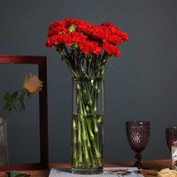 花在线鲜花专营店 康乃馨10枝（颜色随机）
