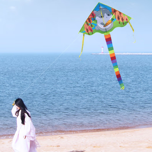 飞莺探春 可爱卡通动物风筝 +100米线板 随机一款