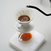 TERRAFORM COFFEE ROASTERS 啟程拓殖 埃塞俄比亚 Bombe 水洗 手冲咖啡豆 100g