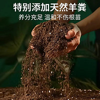 红豆男装 复合基营养土 通用型 10斤