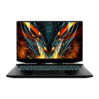 机械革命 蛟龙17K 17.3英寸游戏本（R7-7735H、32GB、2TB、RTX4060）