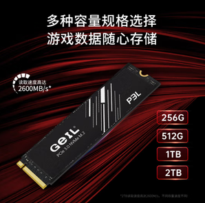 GeIL 金邦 P3L NVMe M.2 固态硬盘 2TB（PCI-E3.0）