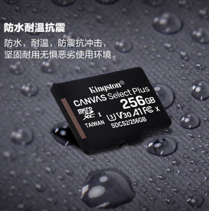 Kingston 金士顿 SDCS2系列 Micro-SD存储卡 256GB（UHS-I、V30、U3、A1）
