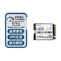 TOPMORE 达墨 Leo 狮子座 NVMe M.2 2230固态硬盘 1TB（PCIe 4.0）