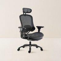 YANXUAN 网易严选 开拓者P2  人体工学椅 电脑椅 黑色升级款