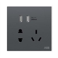 ABB 盈致系列 灰色 五孔带双USB插座