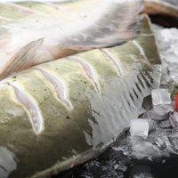 DIAOYUJI 钓鱼记 国产叉尾鮰鱼500g-650g 净重 去鳞去鳃去内脏 烤鱼红烧烤生鲜