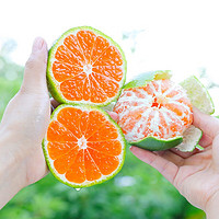 新鲜蜜桔 酸甜橘子 带酸蜜桔 净重8.5斤