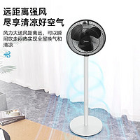 Midea 美的 SAG25CA 电风扇