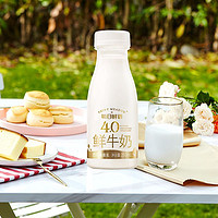 每日鲜语 4.0鲜牛奶250ml*12瓶低温高钙巴氏杀菌纯生牛乳顺丰包邮