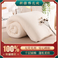 AIDLI 加厚保暖100%新疆棉花被 3斤 150*200cm