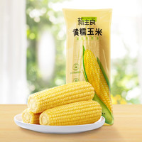 新主良 黑龙江黄糯鲜玉米 1.6kg（8根 ）