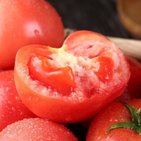 沙瓤西红柿 优选中果 5斤
