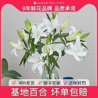 花点时间 鲜花 香水百合10朵