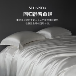 PLUS会员！SIDANDA 诗丹娜 19姆米丝棉四件套 200*230cm