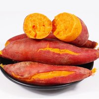 宁葛红 京地达 山东板栗红薯4.5-5斤 中果装